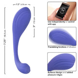 Kegel Exerciser
