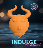 Zodiac Collection Mini Vibes by Our Erotic Journey