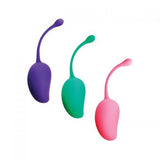 Kegel Exercise System