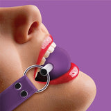 Solid Ball Gag with Rubber Ball and Bar
