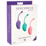 Kegel Exercise System